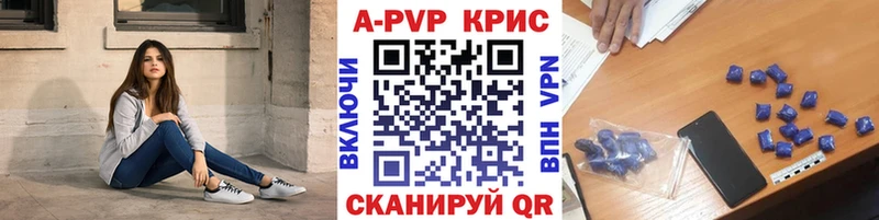 APVP СК КРИС  Терек 
