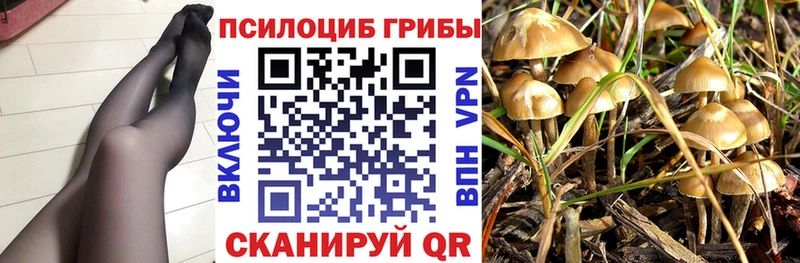 Псилоцибиновые грибы прущие грибы  Терек 